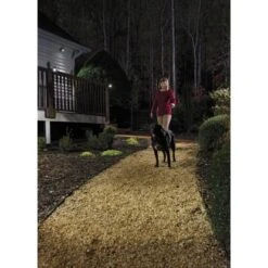 Mr. Beams LED-Außenstrahler Mit Bewegungsmelder MBN350 Braun -Globo Deutschland Verkaufsgeschäft 1810431 3437 mbn350 a2