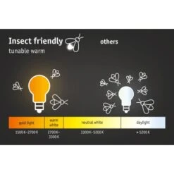 Paulmann LED-Outdoor-Deckenleuchte Circula 230 V ZigBee Mit Sensor Anthrazit -Globo Deutschland Verkaufsgeschäft 4000870945254 2425 AI 07