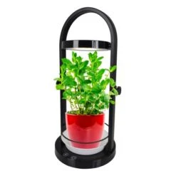 Näve LED-Tischleuchte Pflanzen 53,5 Cm -Globo Deutschland Verkaufsgeschäft 4003222878828 3065 CU 05