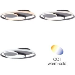 Brilliant LED-Deckenleuchte Runda Ø 50 Cm Dunkelgrau Matt -Globo Deutschland Verkaufsgeschäft 4004353390487 4731 AI 01