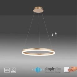 Paul Neuhaus Pendelleuchte Titus 1-flammig Messing Matt Ø 40 Cm -Globo Deutschland Verkaufsgeschäft 4012248362853 2426 AI 01 1