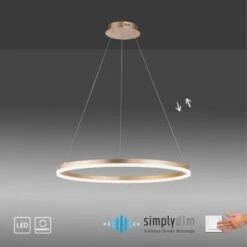 Paul Neuhaus Pendelleuchte Titus 1-flammig Messing Matt Ø 80 Cm -Globo Deutschland Verkaufsgeschäft 4012248362877 2426 AI 01