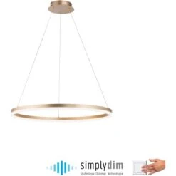 Paul Neuhaus Pendelleuchte Titus 1-flammig Messing Matt Ø 80 Cm -Globo Deutschland Verkaufsgeschäft 4012248362877 2426 AI 02