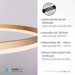 Paul Neuhaus Pendelleuchte Titus 1-flammig Messing Matt Ø 80 Cm -Globo Deutschland Verkaufsgeschäft 4012248362877 2426 AI 03