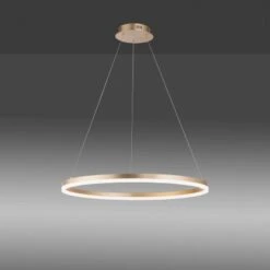 Paul Neuhaus Pendelleuchte Titus 1-flammig Messing Matt Ø 80 Cm