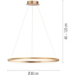 Paul Neuhaus Pendelleuchte Titus 1-flammig Messing Matt Ø 80 Cm -Globo Deutschland Verkaufsgeschäft 4012248362877 2426 VM 01