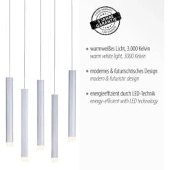 Leuchten Direkt LED-Pendelleuchte Bruno 10-flammig Aluminium 89 X 120 Cm 14 Leuchten Direkt LED-Pendelleuchte Bruno 10-flammig Aluminium 89 X 120 Cm -Globo Deutschland Verkaufsgeschäft 4043689979867 2426 03