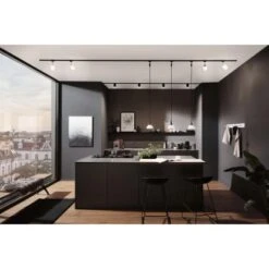 Paulmann URail Pendel Sarrasani Schwarz Matt, Opal Max. 20W E14 7 Paulmann URail Pendel Sarrasani Schwarz Matt, Opal Max. 20W E14 -Globo Deutschland Verkaufsgeschäft 574543 2425 07