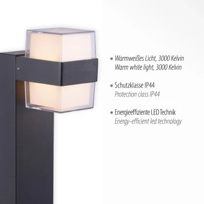 Paul Neuhaus LED-Wegeleuchte Cara Anthrazit 75 Cm 4 Paul Neuhaus LED-Wegeleuchte Cara Anthrazit 75 Cm – Bild 4