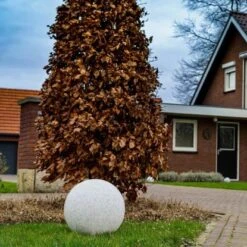 LED Bodenlicht Siam 4,5 W 470 Lm 2700 K IP65 E27 Mit Sensor Grau -Globo Deutschland Verkaufsgeschäft 693302 11020200 11