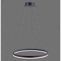 Paul Neuhaus LED-Pendelleuchte Titus Anthrazit Ø 60 Cm