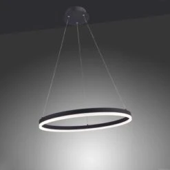 Paul Neuhaus LED-Pendelleuchte Titus Anthrazit Ø 60 Cm -Globo Deutschland Verkaufsgeschäft 890053 2426 7