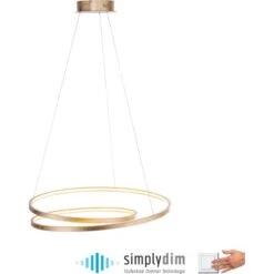 Paul Neuhaus LED-Pendelleuchte Roman Gold -Globo Deutschland Verkaufsgeschäft 890055 2426 2