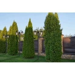 Globo Außenleuchte 3-flammig Schwarz Matt 485 X 1800 Mm