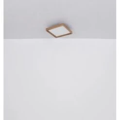 Globo LED-Deckenleuchte Cinderella 1-flammig Weiß Matt 450 X 450 X 85 Mm 20 Globo LED-Deckenleuchte Cinderella 1-flammig Weiß Matt 450 X 450 X 85 Mm -Globo Deutschland Verkaufsgeschäft 9007371436958 3749 S 09