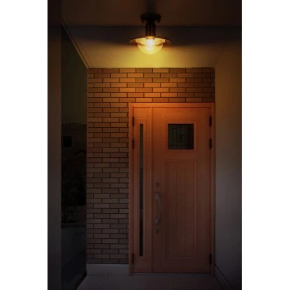 Globo Außenleuchte Linda 1-flammig Edelstahl 236 X 215 Mm 1 Globo Außenleuchte Linda 1-flammig Edelstahl 236 X 215 Mm