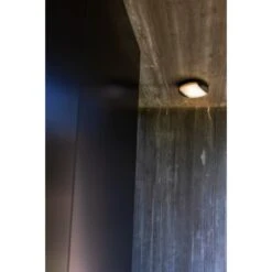 Lutec LED-Wand/Deckenleuchte Sweep 1.600 Lm Ø 26 X 5,9 Cm Anthrazit -Globo Deutschland Verkaufsgeschäft 956173 3746 5