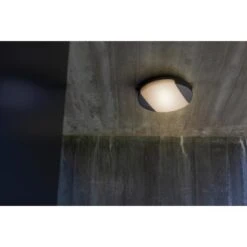 Lutec LED-Wand/Deckenleuchte Sweep 1.600 Lm Ø 26 X 5,9 Cm Anthrazit -Globo Deutschland Verkaufsgeschäft 956173 3746 6